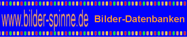 Bilder-Datenbanken