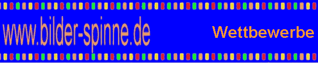 Wettbewerbe